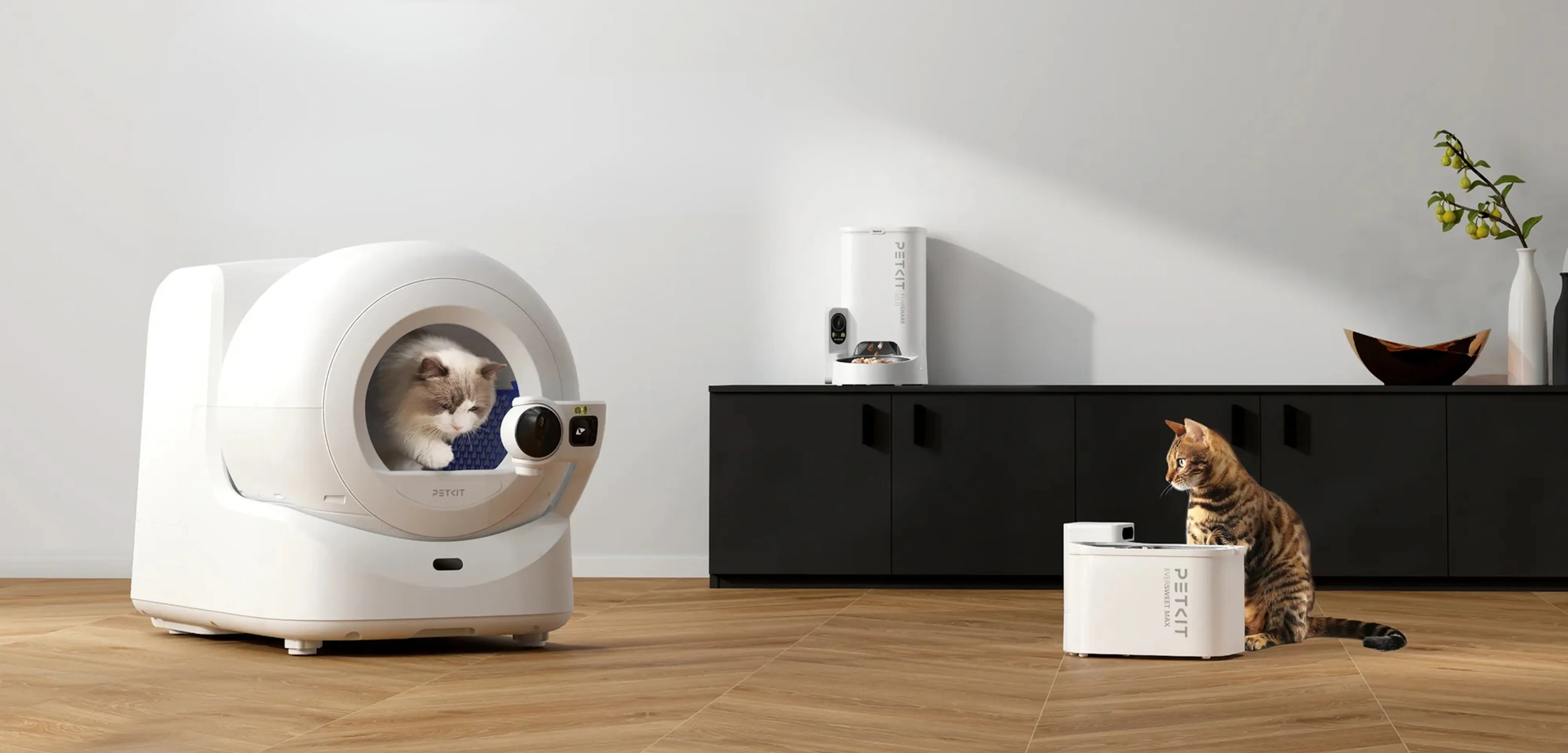 Litière, distributeur et fontaine PETKIT dans un salon