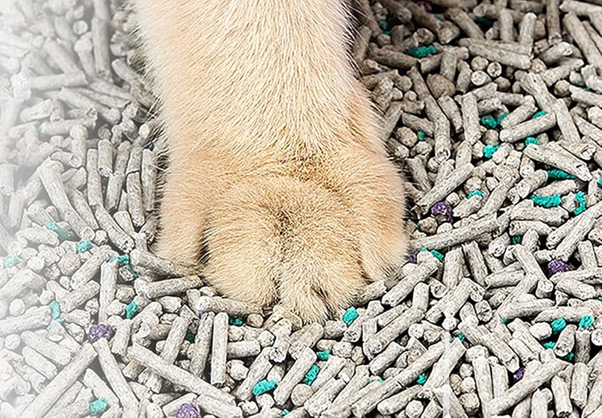Patte de chat sur la litière PETKIT 5 en 1