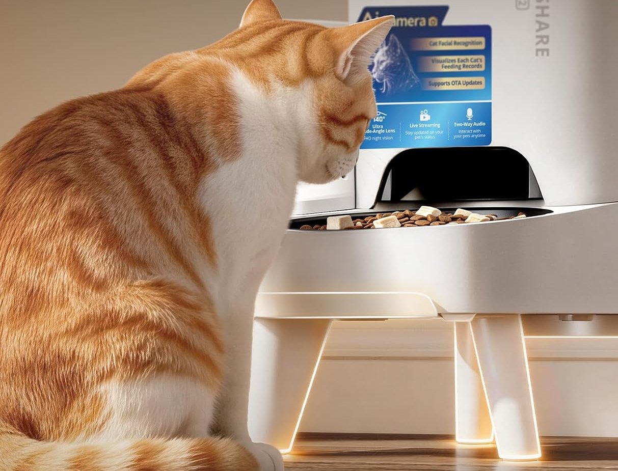 Gatto che mangia dalla PETKIT YUMSHARE SOLO 2 sul supporto rialzato