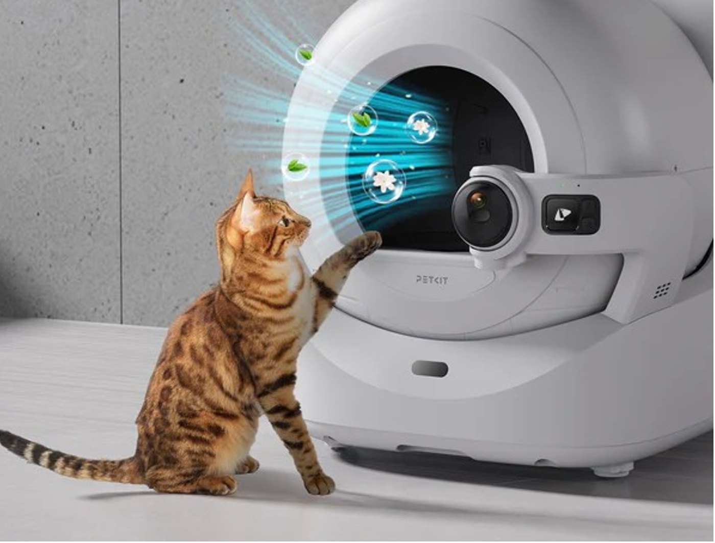Chat devant la PETKIT PUROBOT ULTRA avec le désodorisant N60