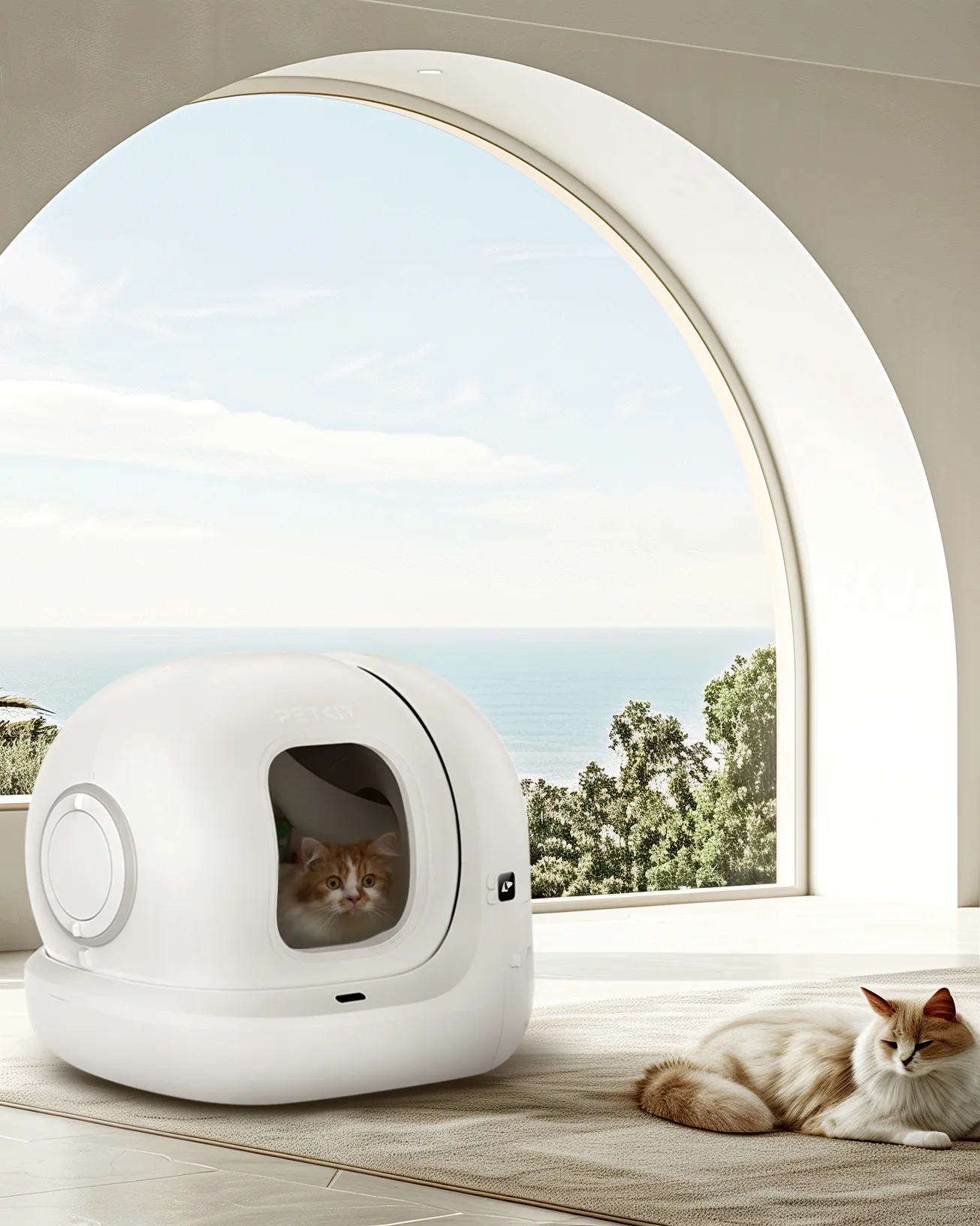 PETKIT PURA MAX 2 vicino a una finestra ad arco
