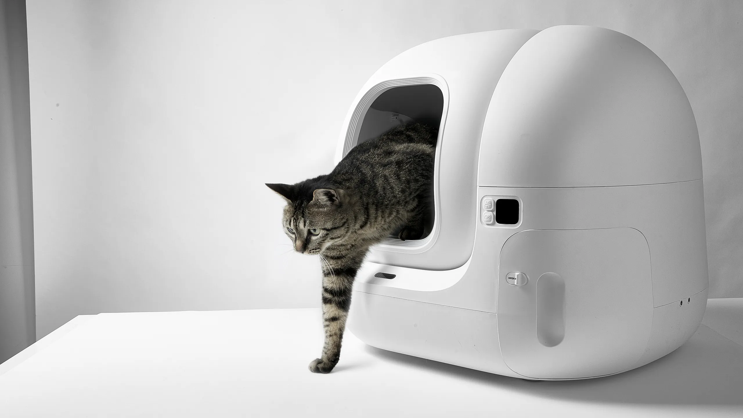 Prodotto PETKIT in studio